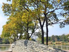 -新江湾城公园