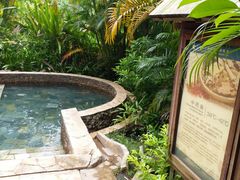 -三亚珠江南田温泉度假区