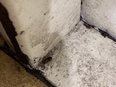 -赛百味SUBWAY(星摩尔店)