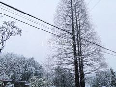 -泽雅景区