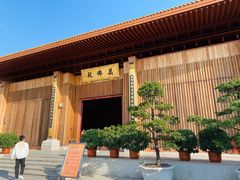 -深圳仙湖植物园-停车场
