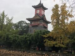 -四川大学(华西校区)