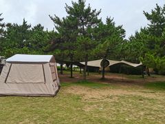 -ChanDu躔度咖啡(灯塔店)