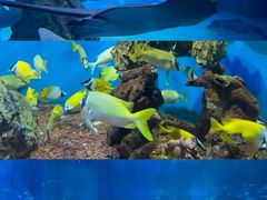-海合安成都极地海洋公园