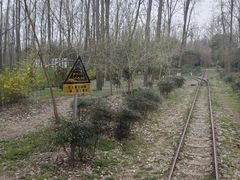 -合肥滨湖国家森林公园