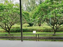 -南宁荔园维景国际酒店·荔园中餐厅