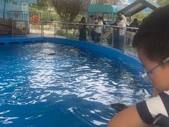 -石家庄市动物园