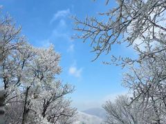 -安吉龙王山风景区