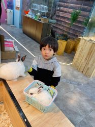 -神奇动物撸宠馆·羊驼·小浣熊·异宠(豫园店)