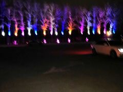 -枫花园汽车电影院(朝阳公园店)