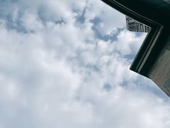 -风雅老树咖啡(清远店)