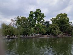 -翠湖公园