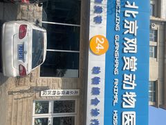 -北京观赏动物医院·24小时大型综合·猫专科·异宠专科
