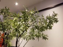 -阿嬷手作(南宁百盛印象城店)
