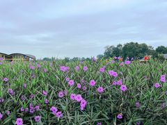 -中国天府农业博览园