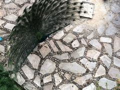 -苏州环秀晓筑养生度假村