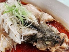 清蒸鲈鱼-夜不收荤豆花(大邑总店)