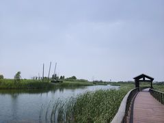 -苏州太湖湖滨国家湿地公园