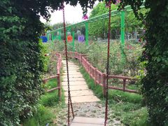 -百万葵园