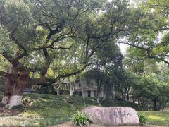 -中国美术学院象山校区-民艺博物馆