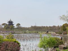 -上海海湾国家森林公园