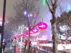 -运河游船(武林门码头)