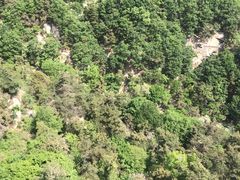 -沂蒙山旅游区云蒙景区(蒙山国家森林公园)