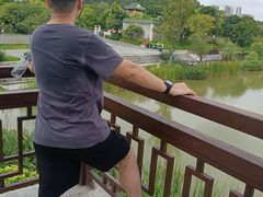 -王借岗森林公园