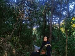 -青龙山国家森林公园