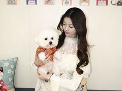 -美联众合动物医院·24h京西诊疗中心