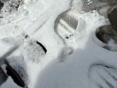 -峡谷浮石林景区