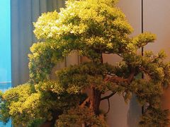 -庆江南江南菜(琴湖溪里花园城店)