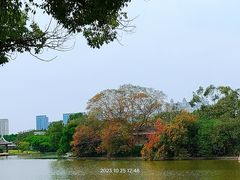 -江心屿景区