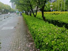 -上海虹桥西郊假日酒店