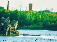 -大兴滨河森林公园