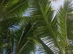 -亚马逊丛林水乐园