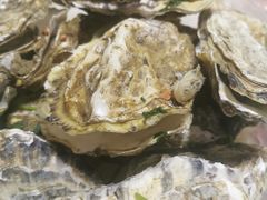 -鑫正兴东北烧烤(滨湖店)
