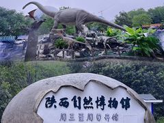 -陕西自然博物馆