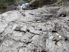 -云岫谷游猎自然风景区