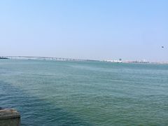 -大湾区中央湿地公园-十九涌