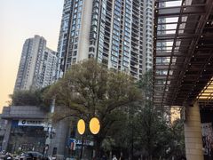 -瑞虹新天地月亮湾