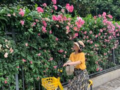 -汉口江滩-五福广场