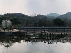 -红山村
