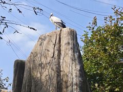 -哈尔滨北方森林动物园