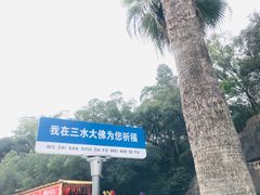 -三水森林公园