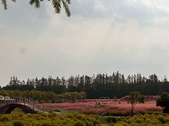 -嘉北郊野公园