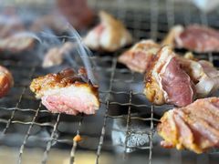 -柿子树炭烤羊腿(金台路店)