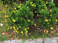 -杭州半山国家森林公园