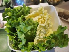 杂菜-润园四季椰子鸡火锅(海上世界店)
