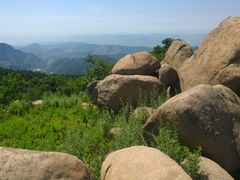 -鲁山国家森林公园